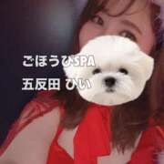 ヒメ日記 2025/01/23 11:20 投稿 ひい ごほうびSPA五反田店