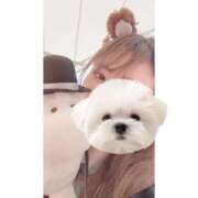 ヒメ日記 2025/01/27 09:00 投稿 ひい ごほうびSPA五反田店