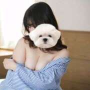 ヒメ日記 2025/02/01 13:10 投稿 ひい ごほうびSPA五反田店