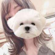 ヒメ日記 2025/02/13 09:20 投稿 ひい ごほうびSPA五反田店