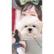 ヒメ日記 2025/02/15 10:34 投稿 ひい ごほうびSPA五反田店