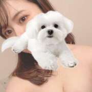 ヒメ日記 2025/02/25 09:00 投稿 ひい ごほうびSPA五反田店