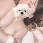 ヒメ日記 2025/02/28 20:00 投稿 ひい ごほうびSPA五反田店