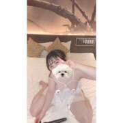 ヒメ日記 2025/03/11 14:10 投稿 ひい ごほうびSPA五反田店