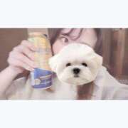 ヒメ日記 2025/04/02 13:00 投稿 ひい ごほうびSPA五反田店