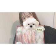 ヒメ日記 2025/04/09 16:30 投稿 ひい ごほうびSPA五反田店