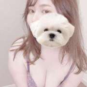 ヒメ日記 2025/04/10 12:50 投稿 ひい ごほうびSPA五反田店