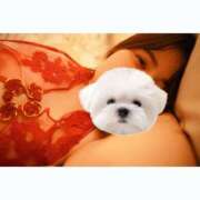 ヒメ日記 2025/04/14 14:13 投稿 ひい ごほうびSPA五反田店