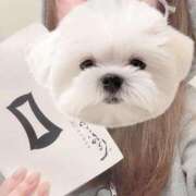 ヒメ日記 2025/05/12 09:00 投稿 ひい ごほうびSPA五反田店