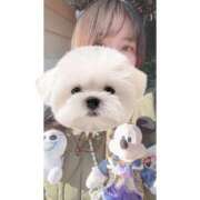 ヒメ日記 2025/05/28 06:40 投稿 ひい ごほうびSPA五反田店