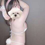 ヒメ日記 2025/06/03 09:00 投稿 ひい ごほうびSPA五反田店