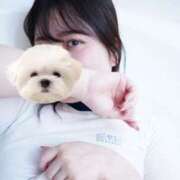 ヒメ日記 2025/06/03 21:01 投稿 ひい ごほうびSPA五反田店