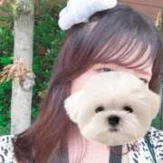 ヒメ日記 2025/06/20 20:00 投稿 ひい ごほうびSPA五反田店