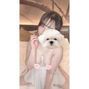 ヒメ日記 2025/06/29 22:04 投稿 ひい ごほうびSPA五反田店