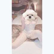 ヒメ日記 2025/07/14 17:50 投稿 ひい ごほうびSPA五反田店