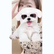 ヒメ日記 2025/07/29 19:20 投稿 ひい ごほうびSPA五反田店