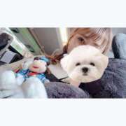 ヒメ日記 2025/07/30 13:53 投稿 ひい ごほうびSPA五反田店