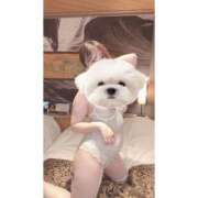 ヒメ日記 2025/08/15 14:40 投稿 ひい ごほうびSPA五反田店