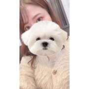 ヒメ日記 2025/08/30 13:00 投稿 ひい ごほうびSPA五反田店