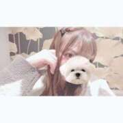 ヒメ日記 2025/09/02 14:01 投稿 ひい ごほうびSPA五反田店