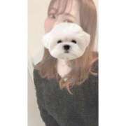 ヒメ日記 2025/09/13 10:21 投稿 ひい ごほうびSPA五反田店