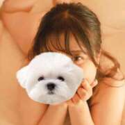 ヒメ日記 2025/09/29 00:56 投稿 ひい ごほうびSPA五反田店