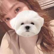 ヒメ日記 2025/10/01 03:00 投稿 ひい ごほうびSPA五反田店