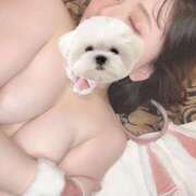 ヒメ日記 2025/10/02 19:06 投稿 ひい ごほうびSPA五反田店