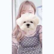 ヒメ日記 2025/10/05 09:39 投稿 ひい ごほうびSPA五反田店