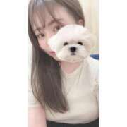 ヒメ日記 2025/11/06 17:20 投稿 ひい ごほうびSPA五反田店