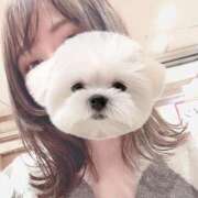 ヒメ日記 2025/11/19 14:40 投稿 ひい ごほうびSPA五反田店