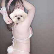 ヒメ日記 2025/12/02 20:31 投稿 ひい ごほうびSPA五反田店