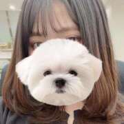 ヒメ日記 2026/02/03 15:10 投稿 ひい ごほうびSPA五反田店