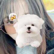 ヒメ日記 2026/03/15 17:40 投稿 ひい ごほうびSPA五反田店