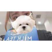 ヒメ日記 2026/03/19 19:01 投稿 ひい ごほうびSPA五反田店