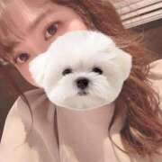 ヒメ日記 2026/03/29 01:20 投稿 ひい ごほうびSPA五反田店