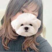 ヒメ日記 2026/04/02 20:10 投稿 ひい ごほうびSPA五反田店