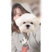 ヒメ日記 2026/04/07 20:00 投稿 ひい ごほうびSPA五反田店