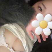 ヒメ日記 2025/06/23 05:23 投稿 みか 八尾藤井寺羽曳野ちゃんこ