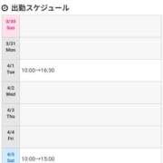 ヒメ日記 2025/03/31 23:30 投稿 飯島　めぐみ PLATINA R-30（すすきの）