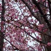 ヒメ日記 2025/04/28 18:29 投稿 飯島　めぐみ PLATINA R-30（すすきの）