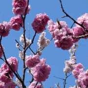 ヒメ日記 2025/05/05 20:29 投稿 飯島　めぐみ PLATINA R-30（すすきの）