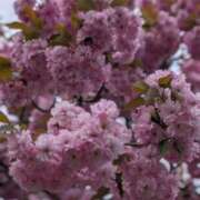 ヒメ日記 2025/05/19 09:28 投稿 飯島　めぐみ PLATINA R-30（すすきの）