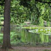 ヒメ日記 2025/06/25 19:29 投稿 飯島　めぐみ PLATINA R-30（すすきの）