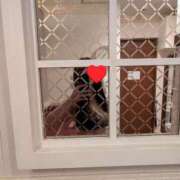 ヒメ日記 2025/07/30 11:28 投稿 飯島　めぐみ PLATINA R-30（すすきの）