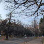 ヒメ日記 2025/11/25 16:33 投稿 飯島　めぐみ PLATINA R-30（すすきの）