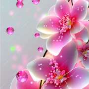 ヒメ日記 2024/12/31 17:46 投稿 星導瑠璃(ほしるべるり) 五十路マダムエクスプレス厚木店(カサブランカグループ)