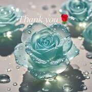 ヒメ日記 2025/03/16 16:12 投稿 星導瑠璃(ほしるべるり) 五十路マダムエクスプレス厚木店(カサブランカグループ)