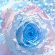 ヒメ日記 2025/04/06 12:46 投稿 星導瑠璃(ほしるべるり) 五十路マダムエクスプレス厚木店(カサブランカグループ)