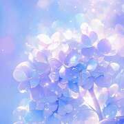 ヒメ日記 2025/06/15 07:02 投稿 星導瑠璃(ほしるべるり) 五十路マダムエクスプレス厚木店(カサブランカグループ)